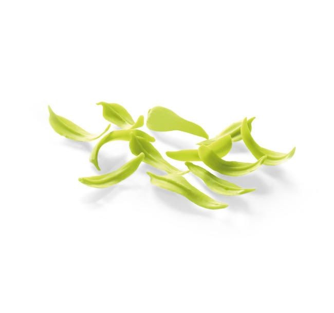 Decoratiuni din ciocolata WILLOW LEAVES LIME 2,5kg 333308 BARB